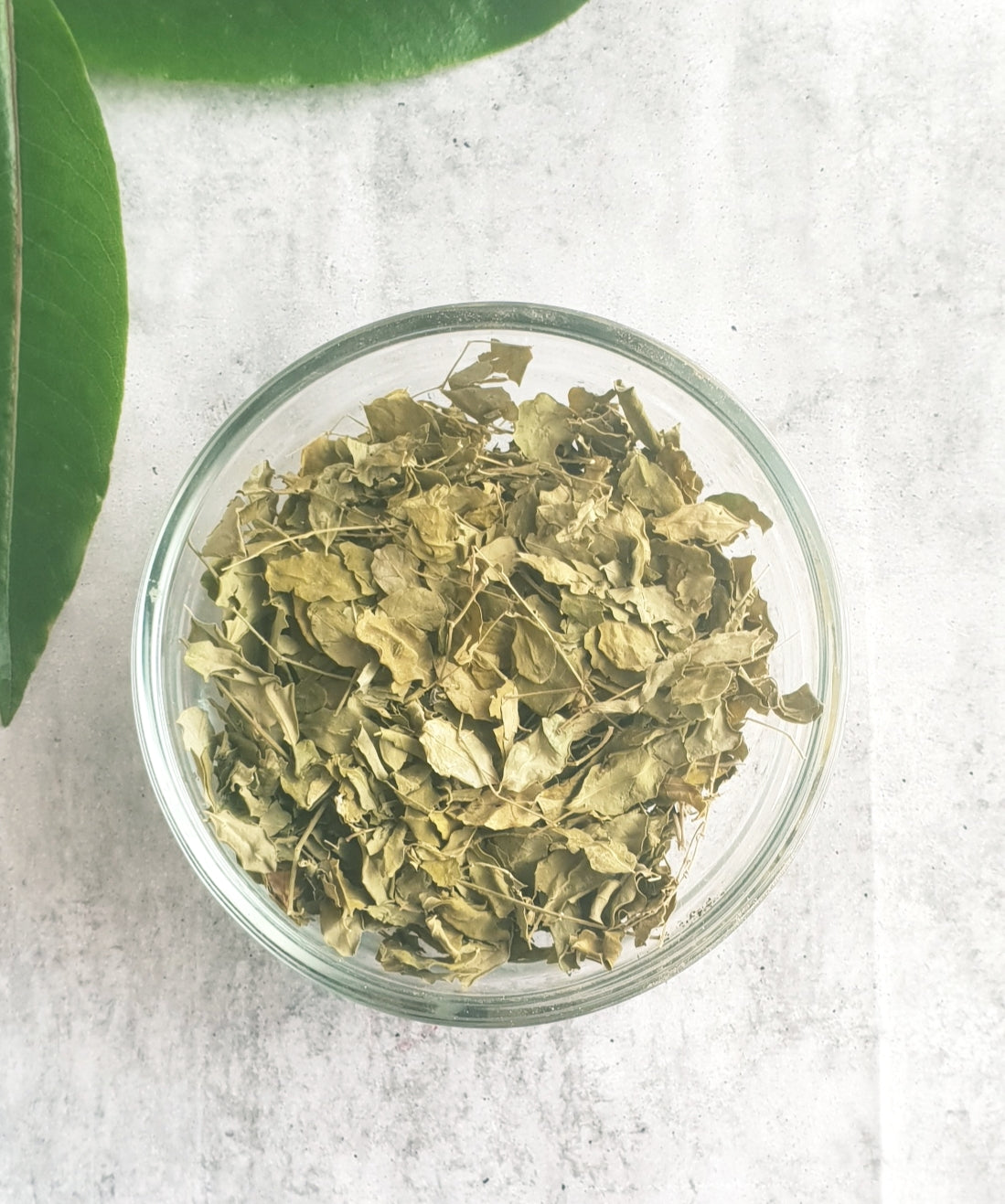 Moringa tea